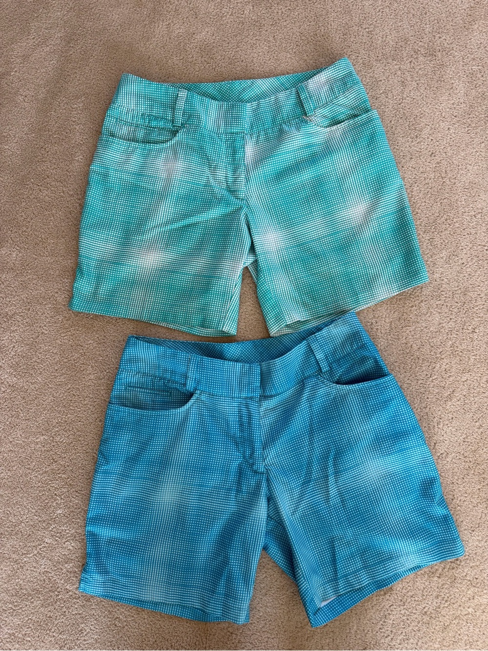 adidas Women’s Aqua and Green ClimaLite Shorts - 2 Pack